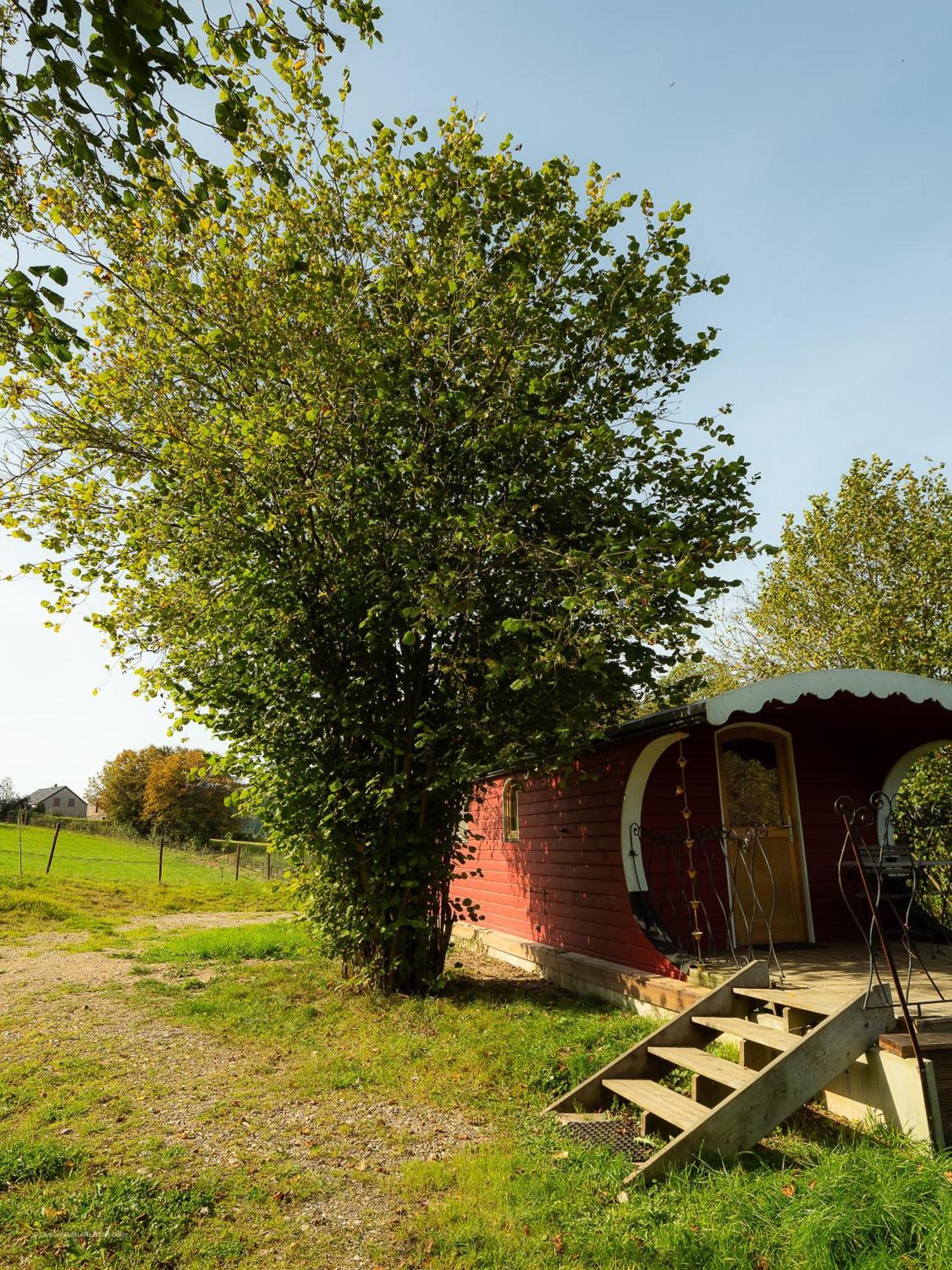 La Tiny House De La Bergerie Villa Lierneux Exteriör bild